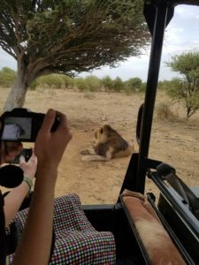 In the safari.  They came very close to lions.  Scary!